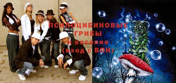 кокс Осташков