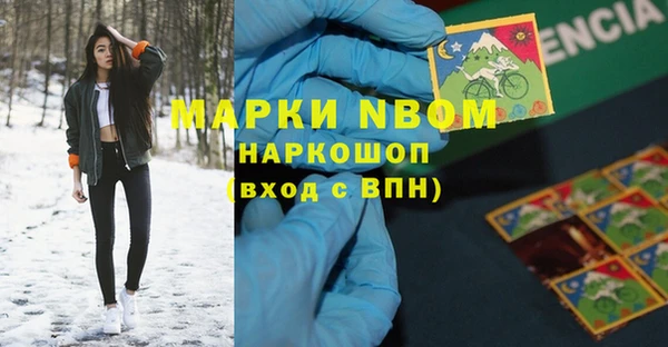 стаф Арсеньев