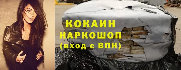 стаф Арсеньев